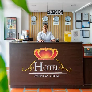 3* Hotel Avenida 3 Real